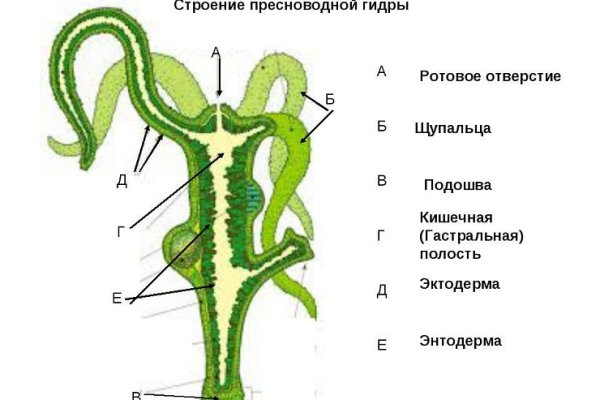 Зайти на кракен тор